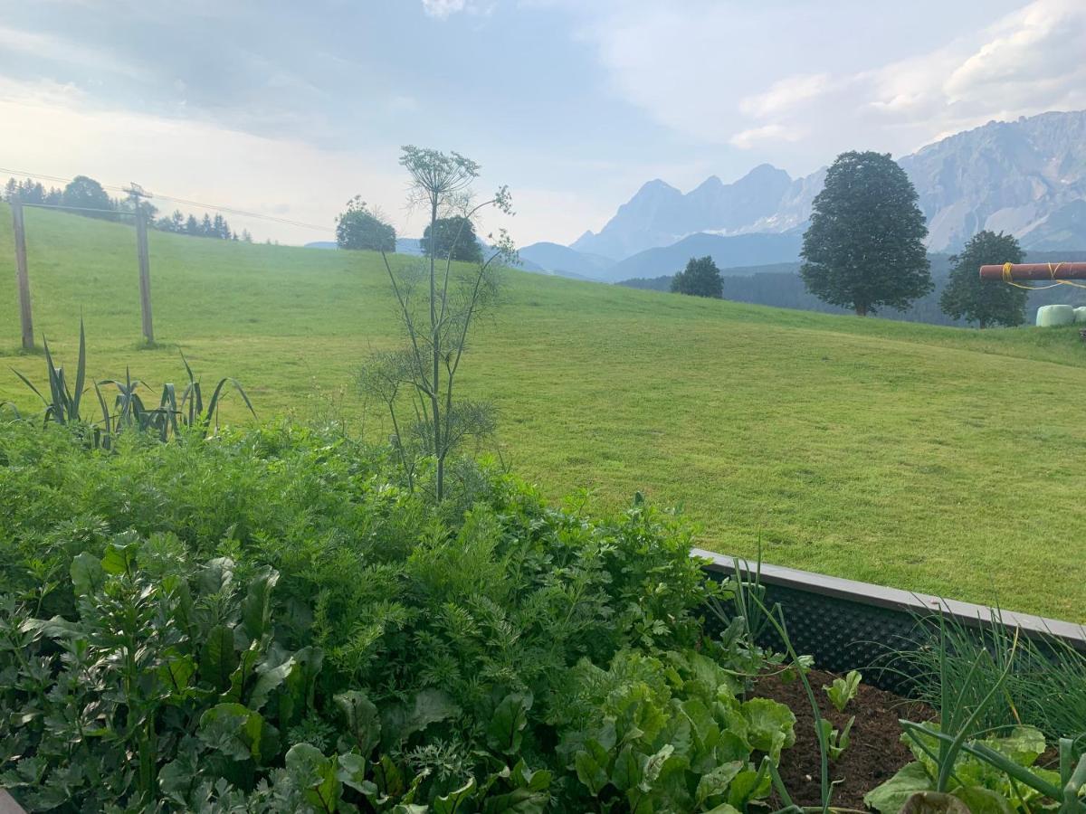 Fruehstueckspension Erika Schladming Dış mekan fotoğraf